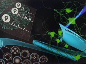 UItra-Thin Endo-Microscope Provides Unprecedented Visualization of Sensitive Brain Areas