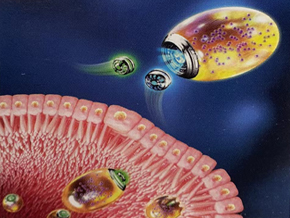 Self-Propelling Micro/Nanorobots Provide Precision Treatment of Gastrointestinal Inflammation