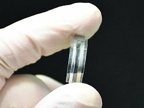 Biodegradable Ultrasound Could Make Brain Cancers More Treatable