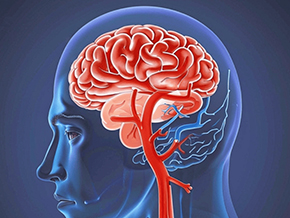 Microdevices Implanted Into Tumors Can Treat Brain Cancer