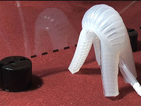 Bimanual Magnetic Soft Robots Perform First Ever Skull Base Surgery